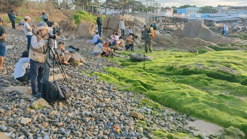 Biển Cổ Thạch - Thưởng Thức Vẻ Đẹp Huyền Ảo Của Bãi Đá 7 Màu Cổ Thạch - 970