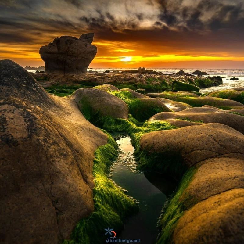 Biển Cổ Thạch - Thưởng Thức Vẻ Đẹp Huyền Ảo Của Bãi Đá 7 Màu Cổ Thạch - 974