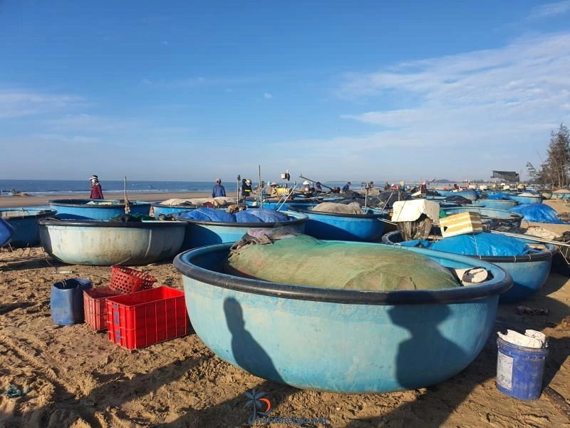 Bãi Biển Cam Bình Lagi - Điểm cắm trại không thể bỏ lỡ. - 1108