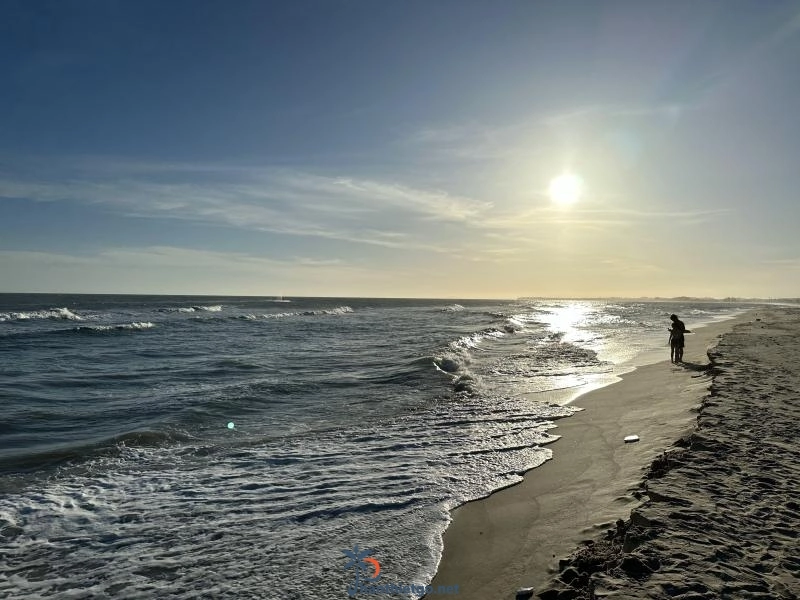 Bãi Biển Cam Bình Lagi - Điểm cắm trại không thể bỏ lỡ. - 1118