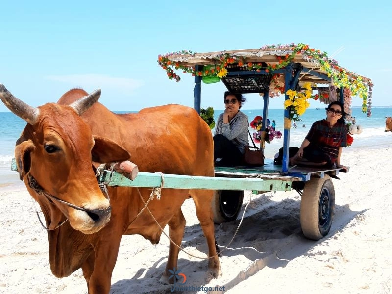 Bãi Biển Cam Bình Lagi - Điểm cắm trại không thể bỏ lỡ. - 1123