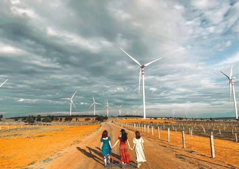 Ngất ngây với vẻ đẹp của 3 cánh đồng quạt gió Bình Thuận. - 1211