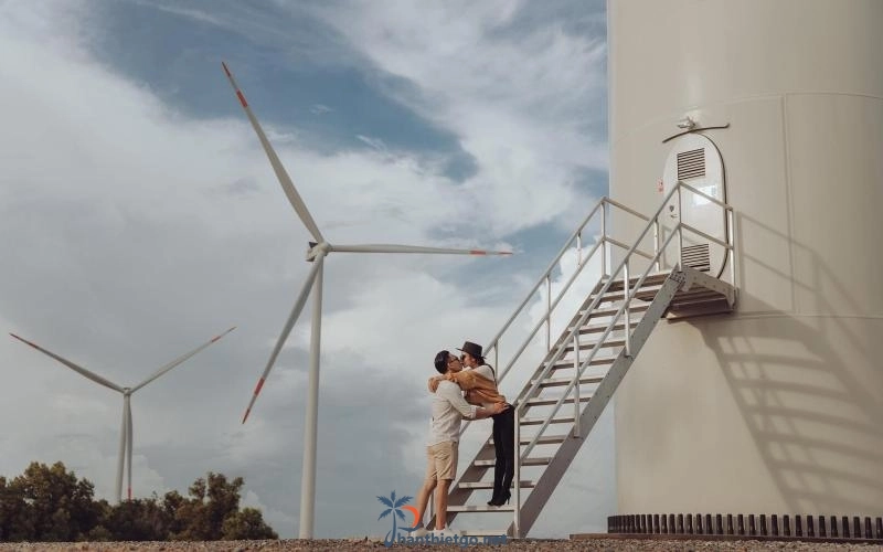 Ngất ngây với vẻ đẹp của 3 cánh đồng quạt gió Bình Thuận. - 1212