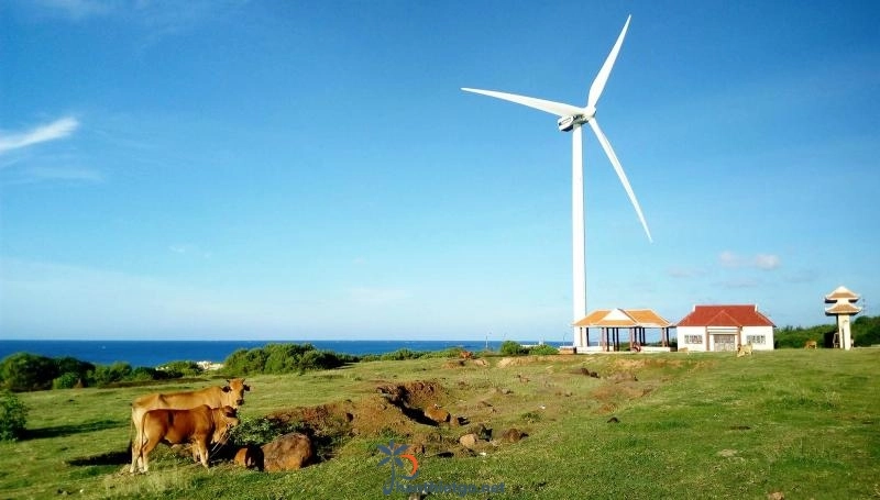 Ngất ngây với vẻ đẹp của 3 cánh đồng quạt gió Bình Thuận. - 1216