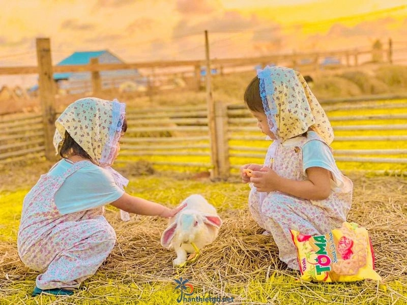 Làng Mông Cổ MIANFARM - Mũi Né Bình Thuận - 1613