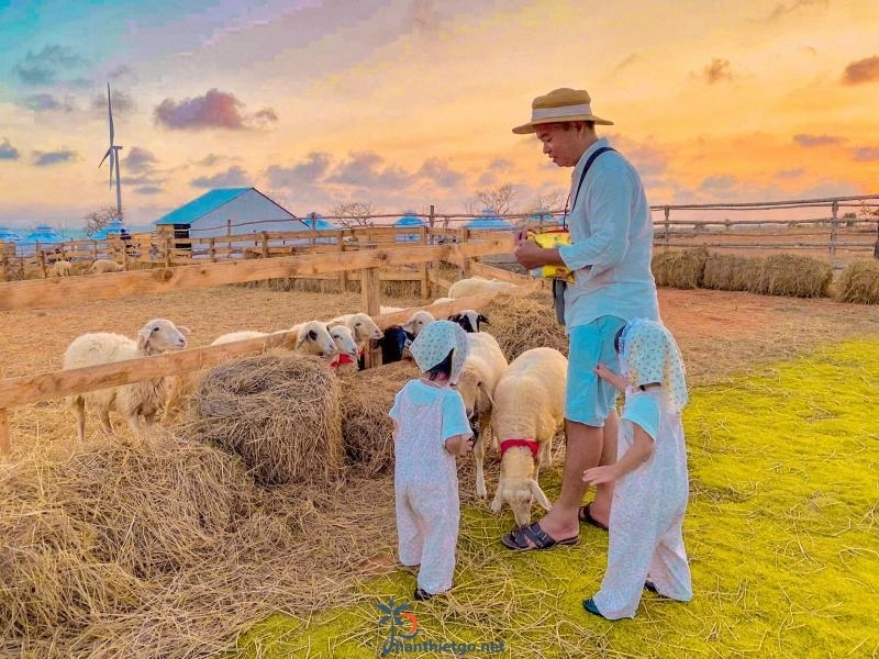 Làng Mông Cổ MIANFARM - Mũi Né Bình Thuận - 1614