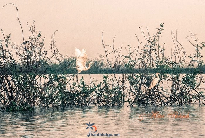 Hồ Biển Lạc - Ngắm nhìn hồ nước ngọt khổng lồ trên núi rừng nguyên sinh - 1701