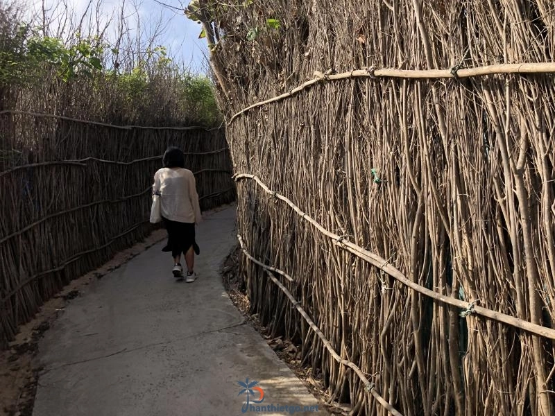 Con đường điện gió (Chị Nên) Phú Quý - 2043