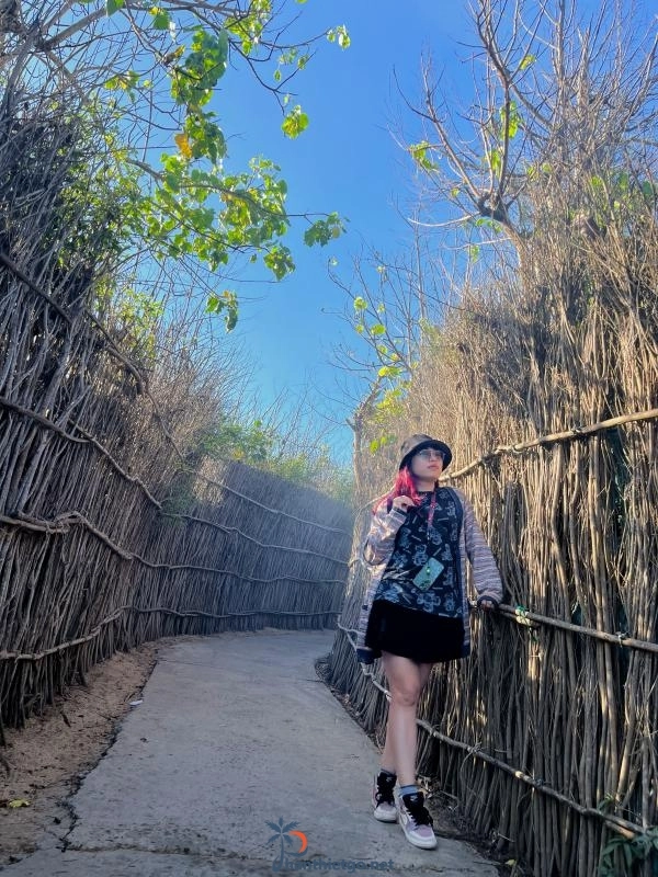 Con đường điện gió (Chị Nên) Phú Quý - 2048