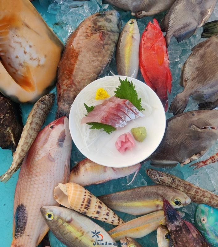 Dốc Phượt Phú Quý - Cứ đưa máy lên là ra hình đẹp - 2078