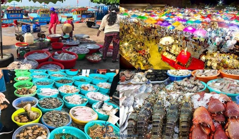 Du Lịch Lagi - Hành trình khám phá thiên đường biển miền Trung 2023 - 2168