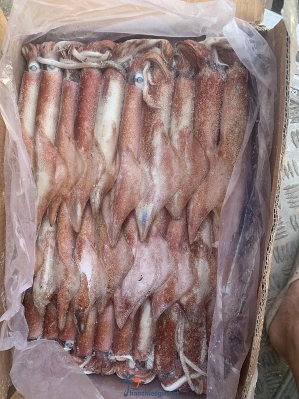 Lẩu bò Hồng - Trần Hưng Đạo Phan Thiết - 2703