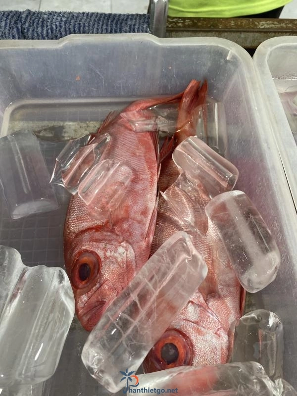 Quán Cá Nướng Phan Thiết - Quán nhậu bình dân - 2660