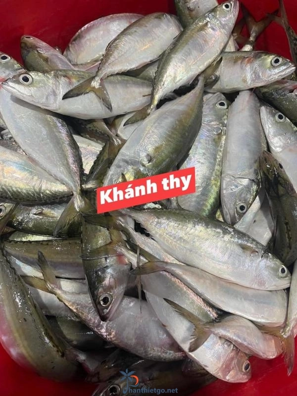 Quán cơm bình dân Khánh Thy - 2801