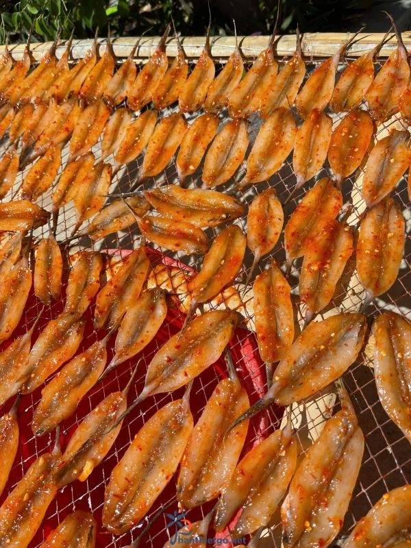 Những Loại Hải Sản Đặc Biệt Nhất Phan Thiết - 4418