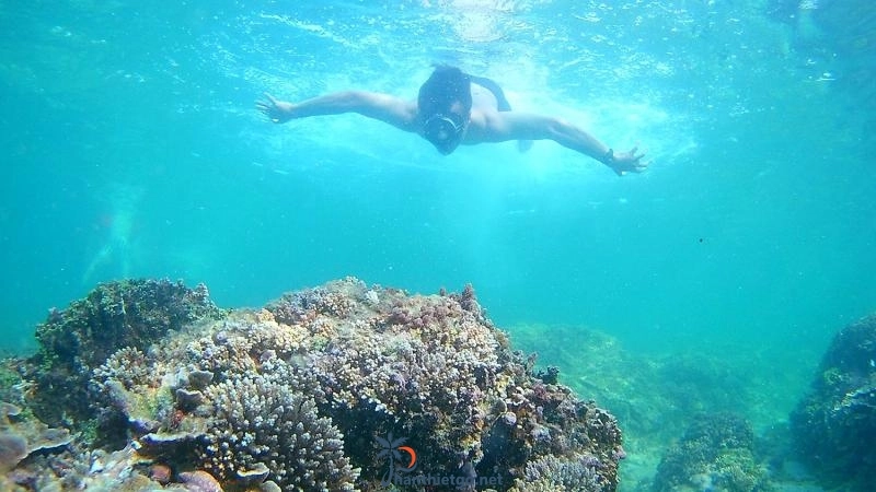 Đảo Phú Quý - Du lịch tự túc cực dễ dàng - 911