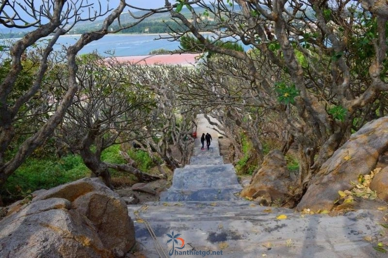 Hải Đăng Kê Gà - Ngọn Hải Đăng Cao Nhất và Lâu Đời Nhất Việt Nam - 946