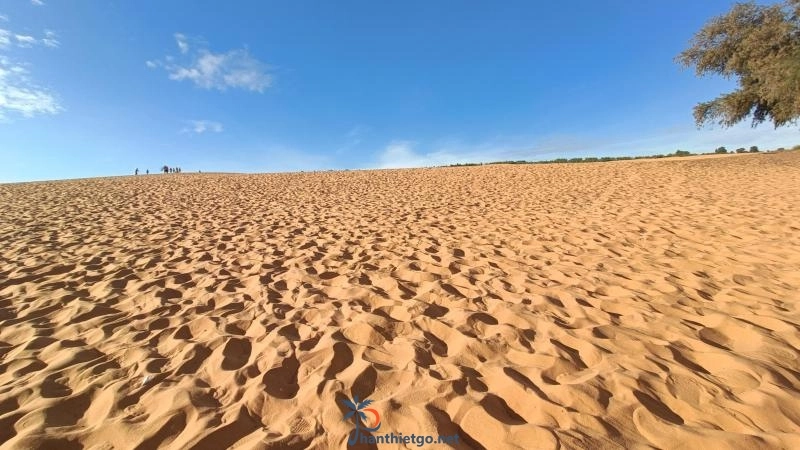 Đồi Cát Đỏ Mũi Né - Điểm checkin cực chill tại Mũi Né - 1136