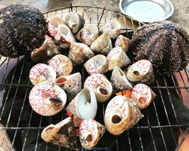 Cù Lao Câu - Cẩm nang du lịch tự túc mới nhất 2023 - 1432