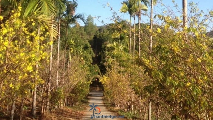 Hồ Hàm Thuận - Dạo chơi trên ốc đảo xanh ngát giữa lòng Bình Thuận - 1734