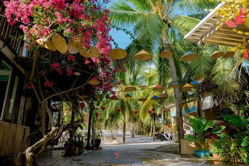 Coco BeachCamp LaGi - Khu nghỉ dưỡng lý tưởng cho cặp đôi tại Bình Thuận - 1901