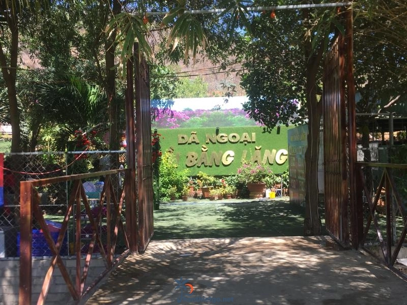 Rừng bằng lăng tím Tuy Phong - Hoa nở tím trời thơ mộng đầy lãng mạn - 2144