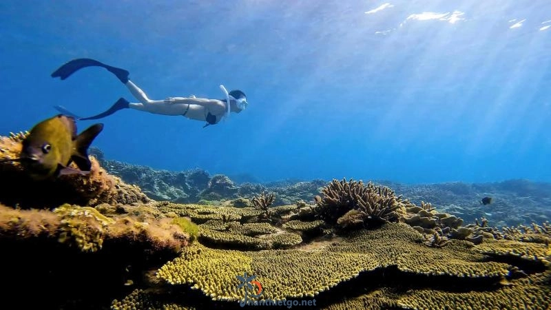 Những điều nhất định phải làm khi đi Phú Quý - 2527