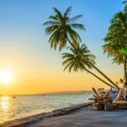 Tour tự túc phan thiết 3 ngày 3 đêm Vị trí lưu trú Novaworld Phan Thiết