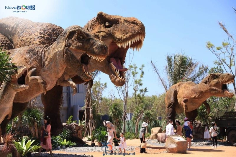Đi du lịch Novaworld Phan Thiết nhất định phải làm những việc này - 2877