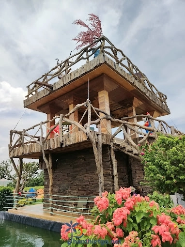 Vườn Nho Vy Vy Farm -Nông Trại Nho Bàu Trắng - 2953