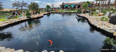Khu Du Lịch Sinh Thái Bàu Trắng Garden - 2995