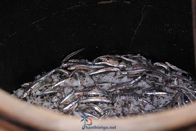 Nước Mắm Phan Thiết Có Gì Ngon - 2991