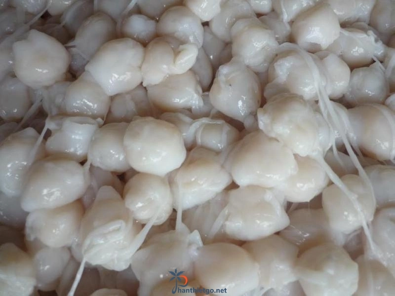 Răng Mực Loan ở Phan Thiết - 2985