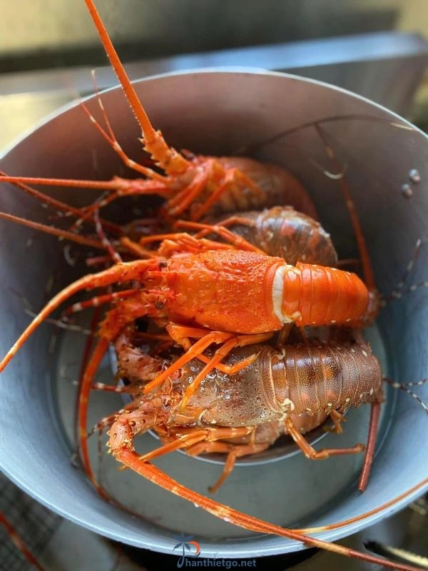 Khu Du Lịch Sinh Thái Bàu Trắng Garden - 3002