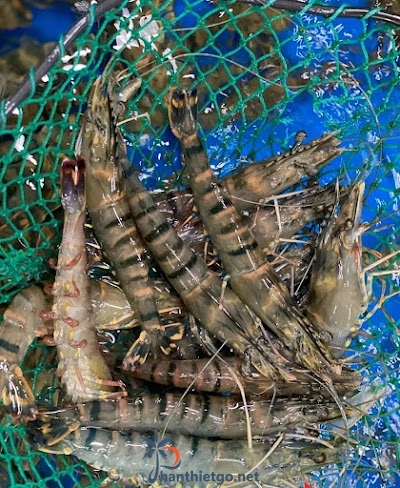 Quán Hải Sản Phố Đêm - Phan Thiết - 3211