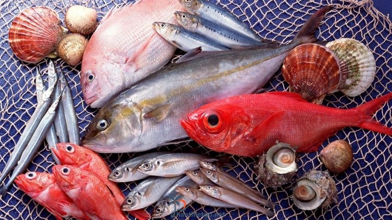 Những Loại Hải Sản Đặc Biệt Nhất Phan Thiết
