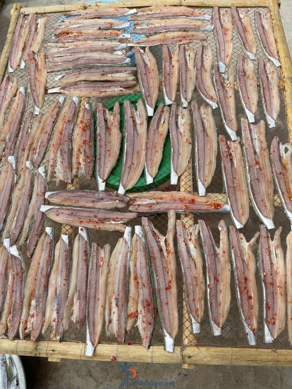 Những Loại Hải Sản Đặc Biệt Nhất Phan Thiết - 4419