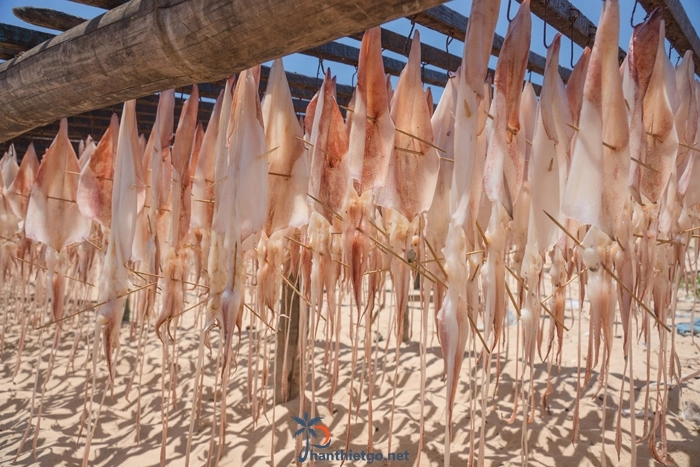 Những Loại Hải Sản Đặc Biệt Nhất Phan Thiết - 4423