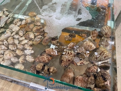 Quán Hải Sản Sao Biển - Mũi Né - 4451