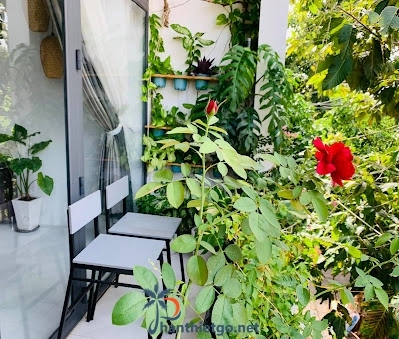 LIM House Homestay Phan Thiết - 68 Phạm Hùng - 4529