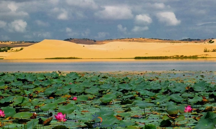 Top những địa điểm du lịch không nên bỏ lỡ khi đến Phan Thiết - 4754