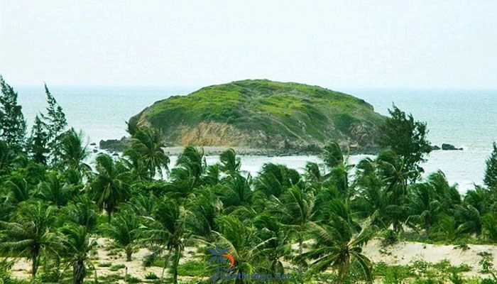 Khám phá Hòn Nghề - Ông rùa giữa biển Hòa Thắng - 4892