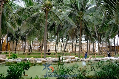 Tiệm Cà Phê Hừng Đông - 4886