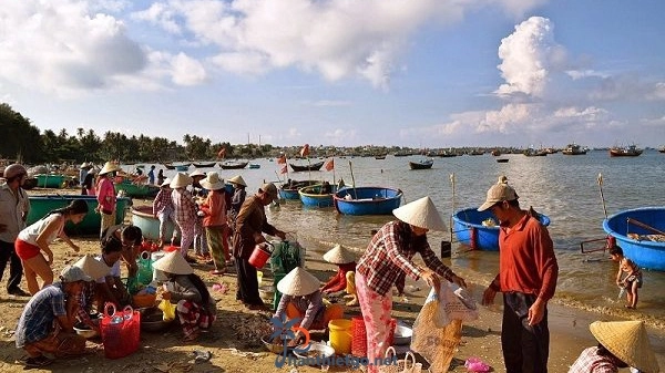 Đi Phan Thiết mua hải sản ở đâu?