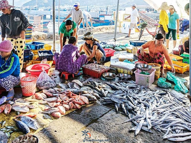 Kinh nghiệm mua hải sản tại Phan Thiết không phải ai cũng biết