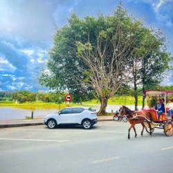 Taxi Phan Thiết Giá Rẻ
