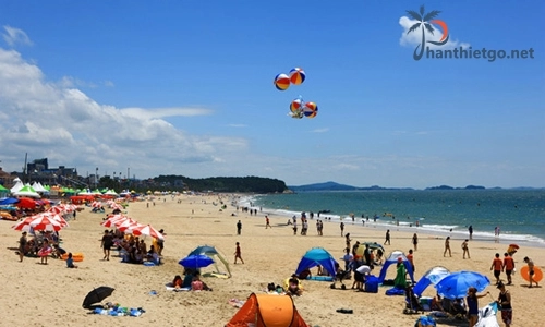 Mùa hè đi du lịch biển cần chú ý những gì?