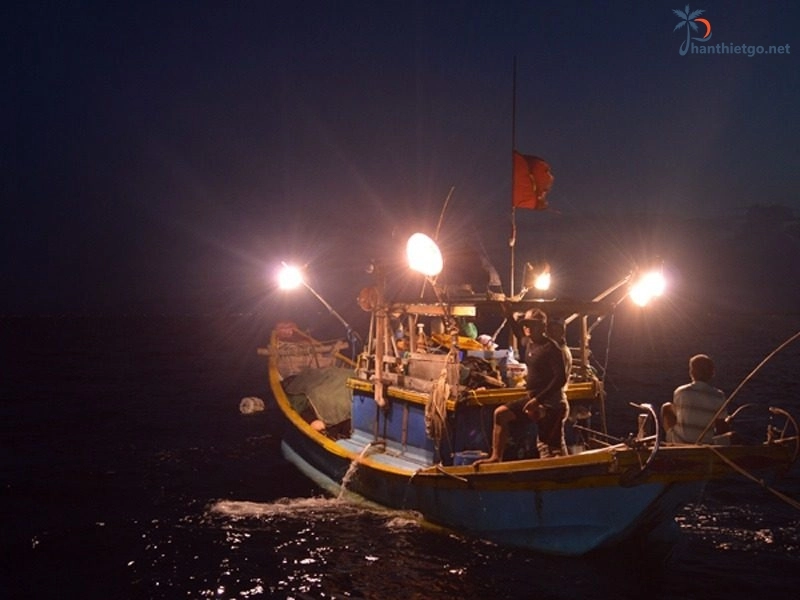 Câu mực đêm Phan Thiết
