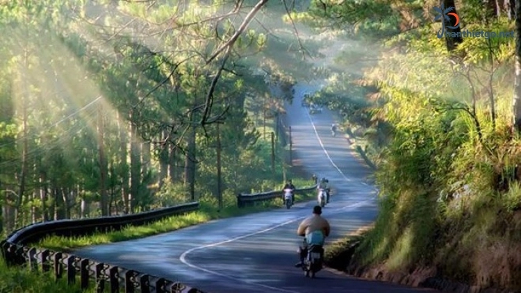 Phan Thiết đi Đà Lạt nên đi đường nào, khám phá đường đèo uốn lượn