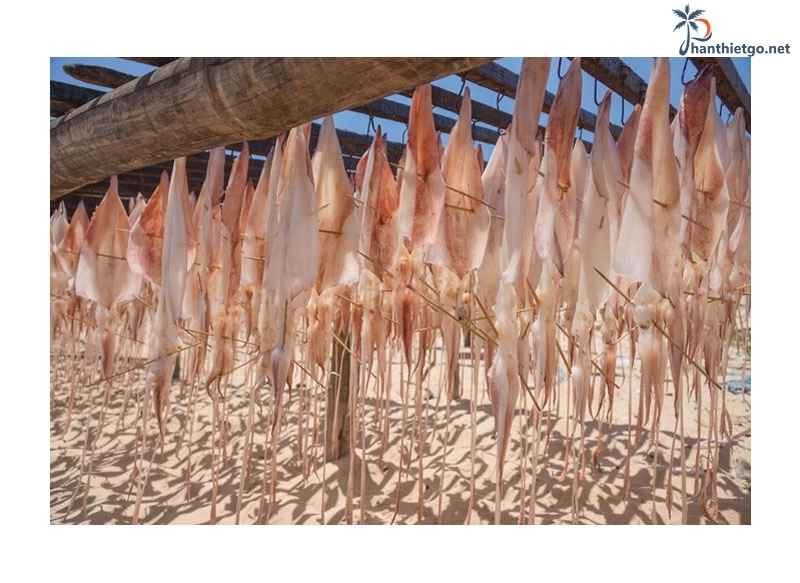 Mực một nắng Phan Thiết có gì ngon?
